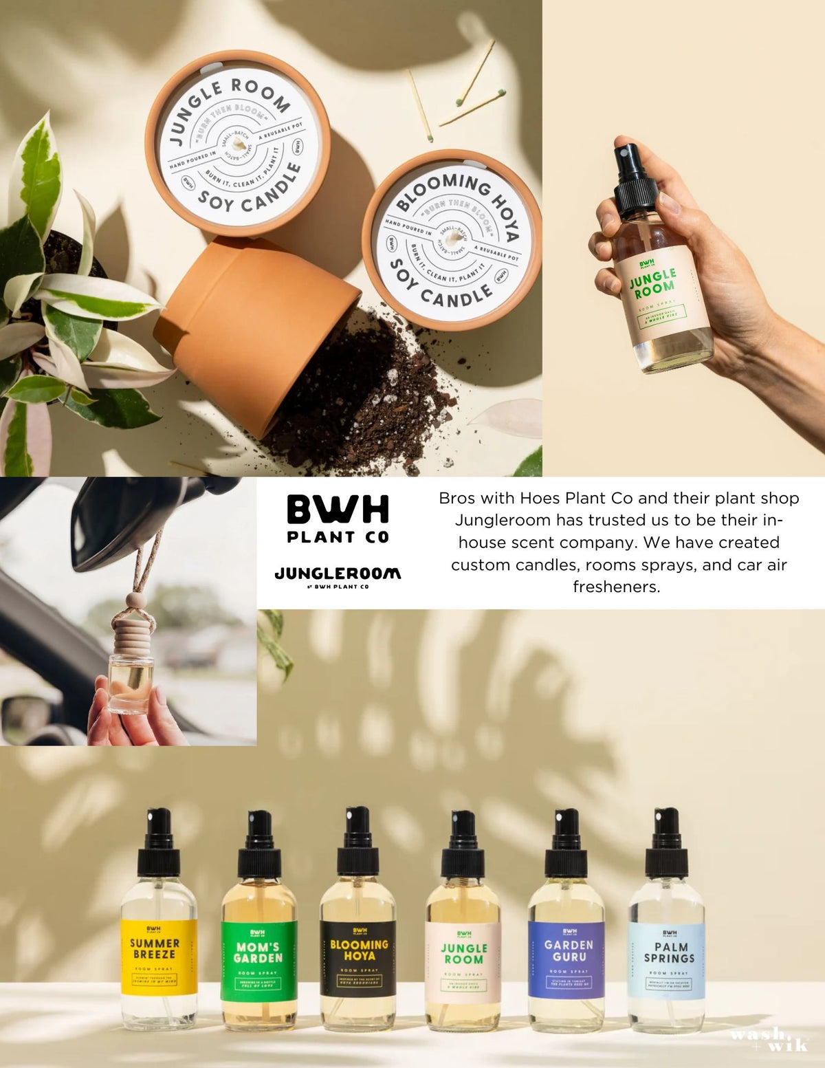A collage-style promotional image for BWH Plant Co / Jungleroom scented products. It shows two terracotta pots labeled 'JUNGLE ROOM' and 'BLOOMING HOYA' soy candles, a hand holding a small spray bottle, a wooden diffuser, and room spray bottles at the bottom against a warm beige background with plant shadows.