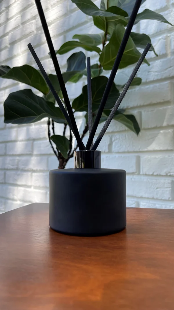 A plant in a black vase on top of a table.