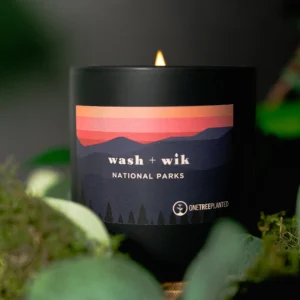 A candle that is sitting in some bushes