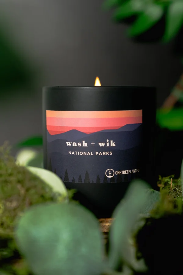 A candle that is sitting in some bushes